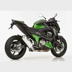 Rac 1 Slip on Ersatzdämpfer - silber Auspuff für: KAWASAKI Z800 ZR800A/B