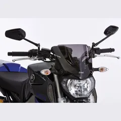 Naked bike screen for: YAMAHA MT-09 RN29