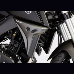 Kühlerseitenverkleidung - grau/gelb Kühlerseitenschutz für: YAMAHA MT-125 RE11, MT-125 RE29