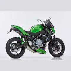 DSX-7 complete exhaust system - silver for: KAWASAKI Z650 ER650H, Ninja 650 EX650K