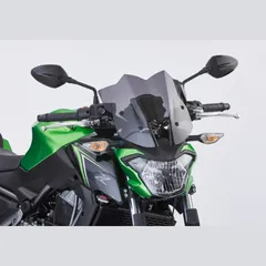 Naked bike screen for: KAWASAKI Z650 ER650H