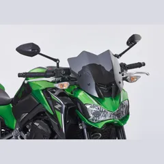 Naked bike screen for: KAWASAKI Z900 ZR900B/D