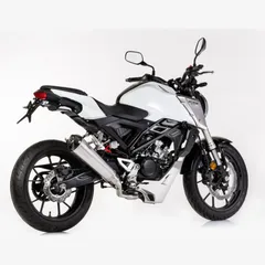 DSX-7 complete exhaust system - silver for: HONDA CB125R JC79