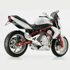 Rac 1 Slip on Ersatzdämpfer - silber Auspuff für: KAWASAKI ER-6n ER650A, ER-6f EX650A