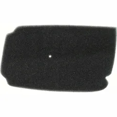 Air filter 100600170