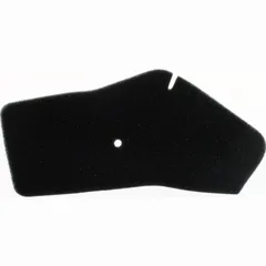 Air filter 100600230