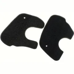 Luftfilter 100600270