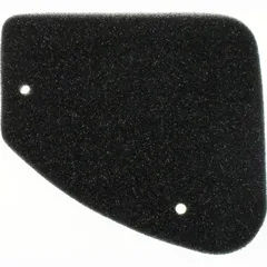 Air filter 100600370