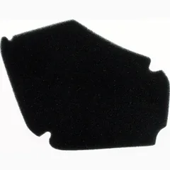 Luftfilter 100600430