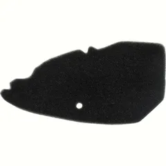 Air filter 100600460