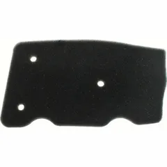 Air filter 100600830