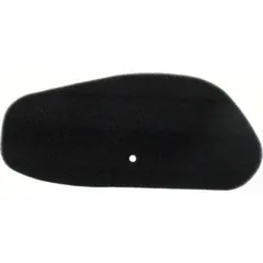 Air filter 100600850