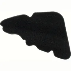 Air filter 100600910