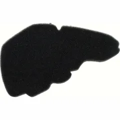 Air filter 100600980