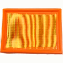 Air filter 100601150