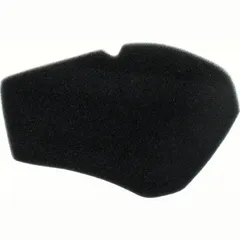 Air filter 100601230