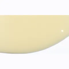 Air filter 100601260