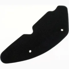 Air filter 100601310