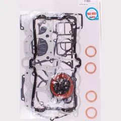 Motor gasket set 1014043