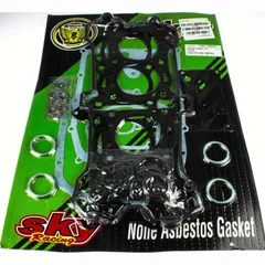 Motor gasket set 1018060