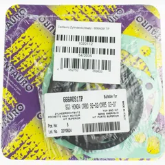 cylinder gasket set / 666A091TP