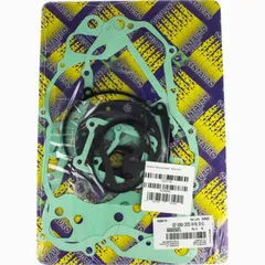 motor gasket set / 666A256FL
