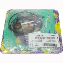 cylinder gasket set / 731A361TP