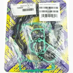 Cylinder gasket set / 731A560TP