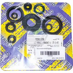 Centauro engine oil seal set / 722A133SR