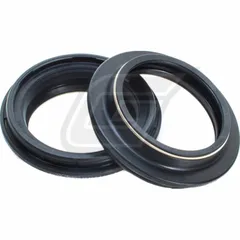 41x53,5x4,8/14 Y dust seal set 111A101FK