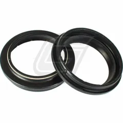 43x54,3x6/13 SCY dust seal set 111A096FK