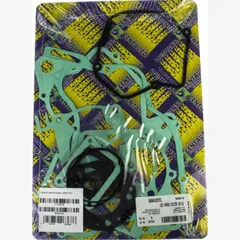motor gasket set / 666A107FL