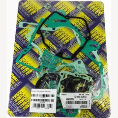 motor gasket set / 666A109FL