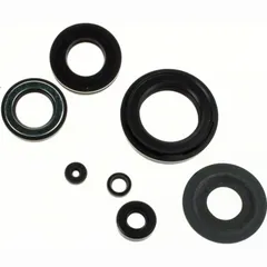 Engine oilseal set (6 pieces)