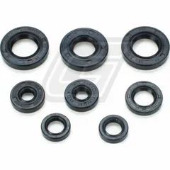 engine oil seal set for Derbi EBE, EBS