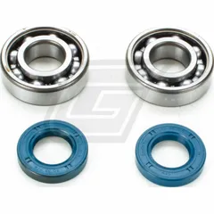 Kurbelwellenlager Satz SKF Metallkäfig für Derbi EBE, EBS, D50B0
