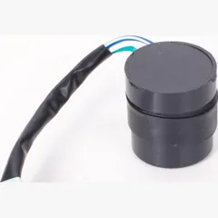 flasher relay 12V for Kymco, SYM, China type 1