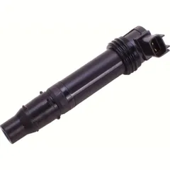 Plug hole ignition coils IGN-429P ( OEM Comp.No.: 211710021 )
