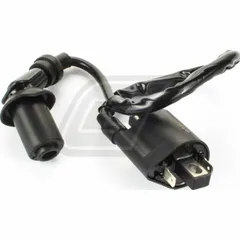 ignition coil 8453