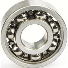 Bearing 6000