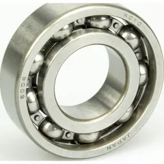 Bearing 6004