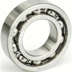 Bearing 6005