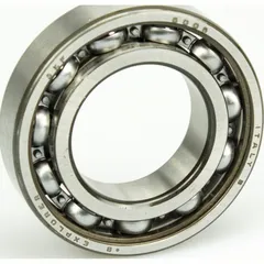 Bearing 6006