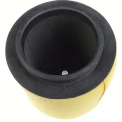 alternate air filter 17254-HC5-890
