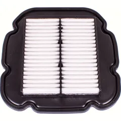Luftfilter CAF2611 (Vergl.Nr: HFA3611)