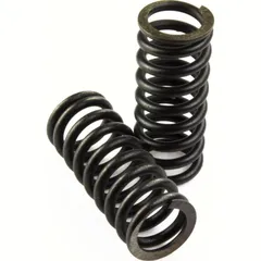 Vicma clutch springs