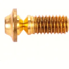 screw for fairings 1pc.