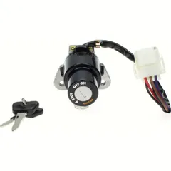 ignition switch 2571020