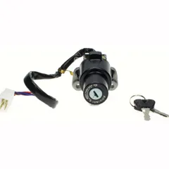 ignition switch 2571025