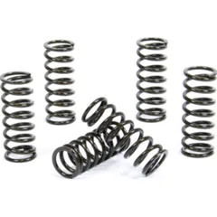 Kupplungsfedern Set für RM250 '96-97